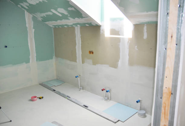 Best Attic Mold Removal  in Manistee, MI