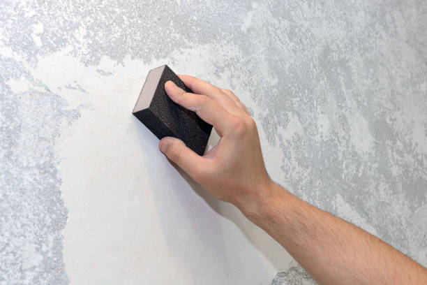 Best Forensic Mold Investigation  in Manistee, MI