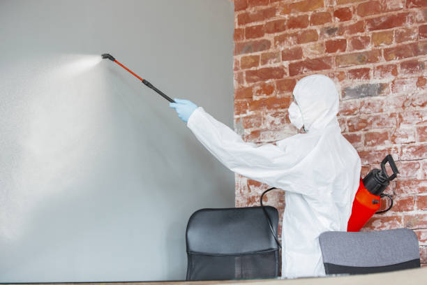 Best Post-Remediation Verification Testing  in Manistee, MI
