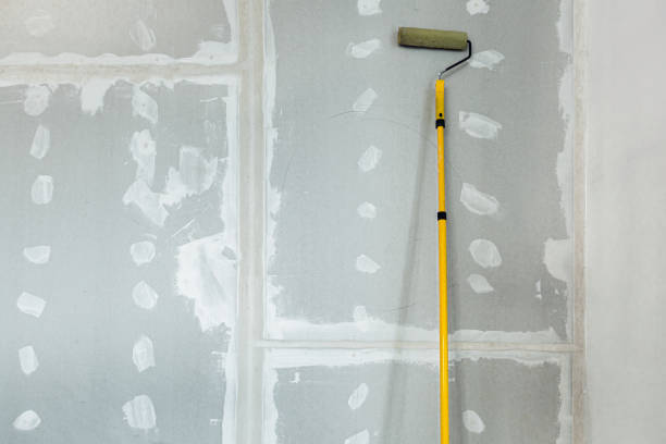 Best Mold Documentation for Insurance Claims  in Manistee, MI