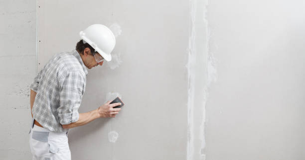 Best Commercial Mold Inspection  in Manistee, MI