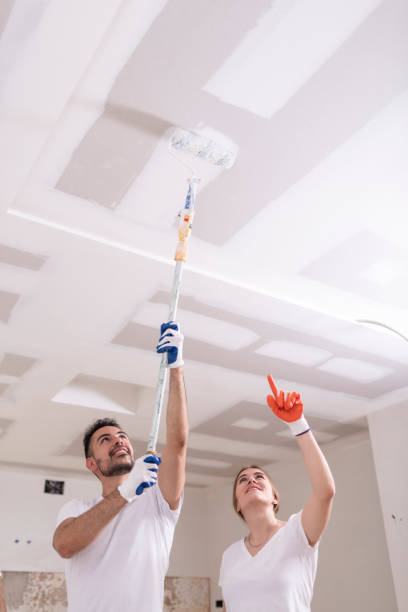 Best Mold Removal for HVAC Installations  in Manistee, MI
