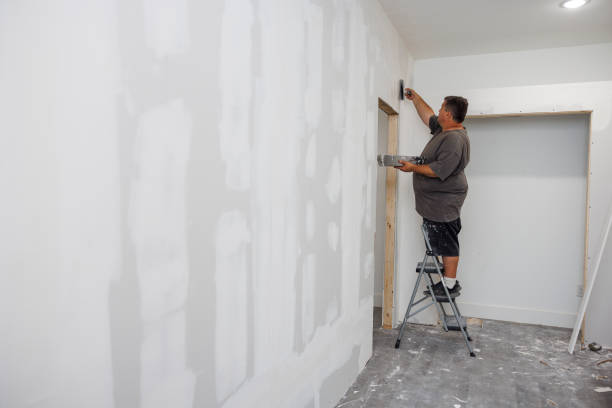 Professional Mold Removal in Manistee, MI