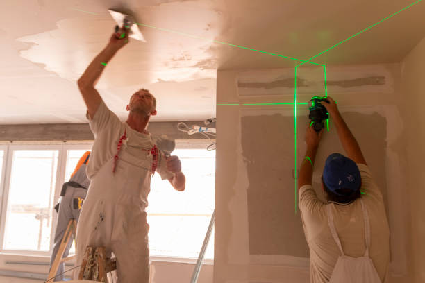 Best Industrial Mold Remediation  in Manistee, MI