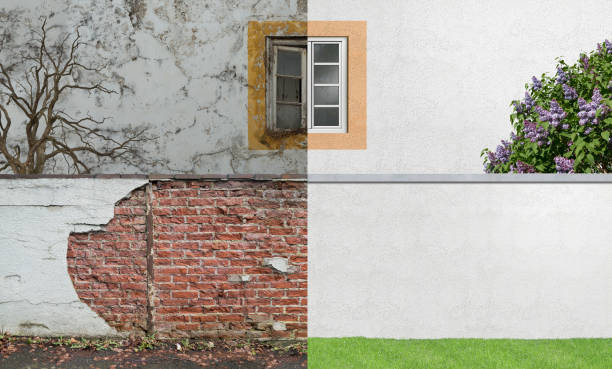 Best Commercial Mold Inspection  in Manistee, MI