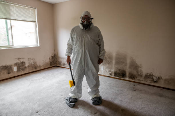 Best Comprehensive Air Testing for Mold Contaminants  in Manistee, MI