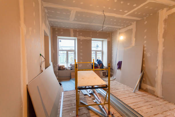 Biohazard Mold Removal in Manistee, MI